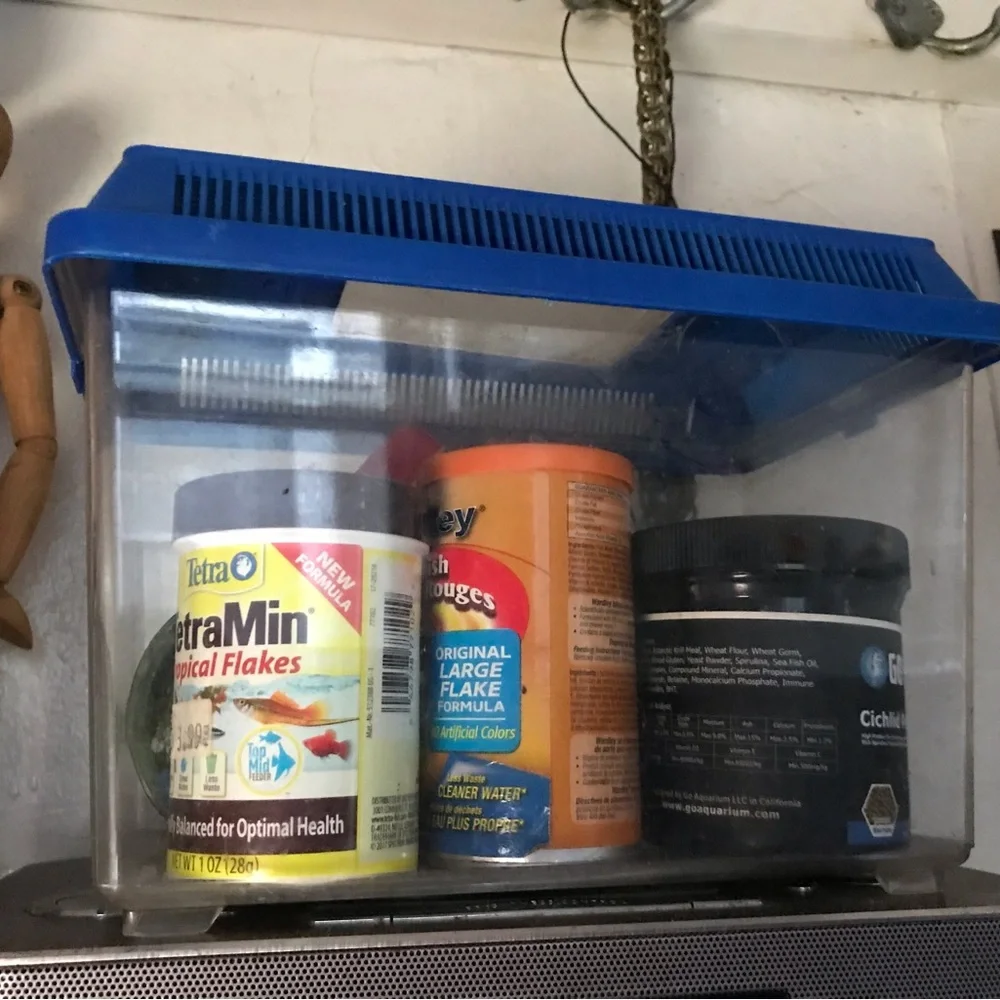 Mini fish tanks 2024